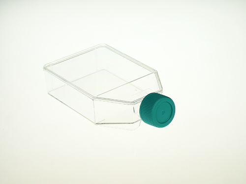 2-708001_png.png
