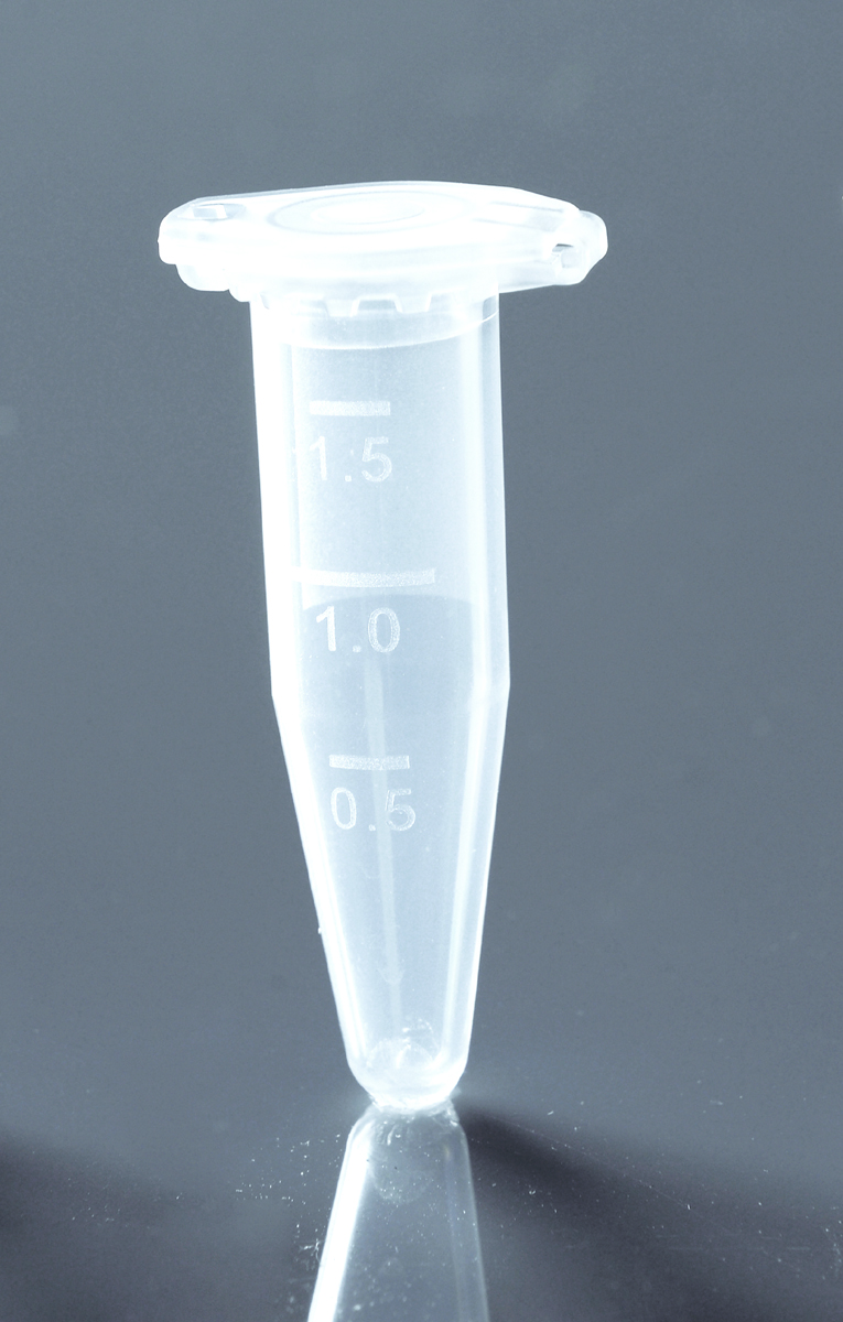 620011.jpg