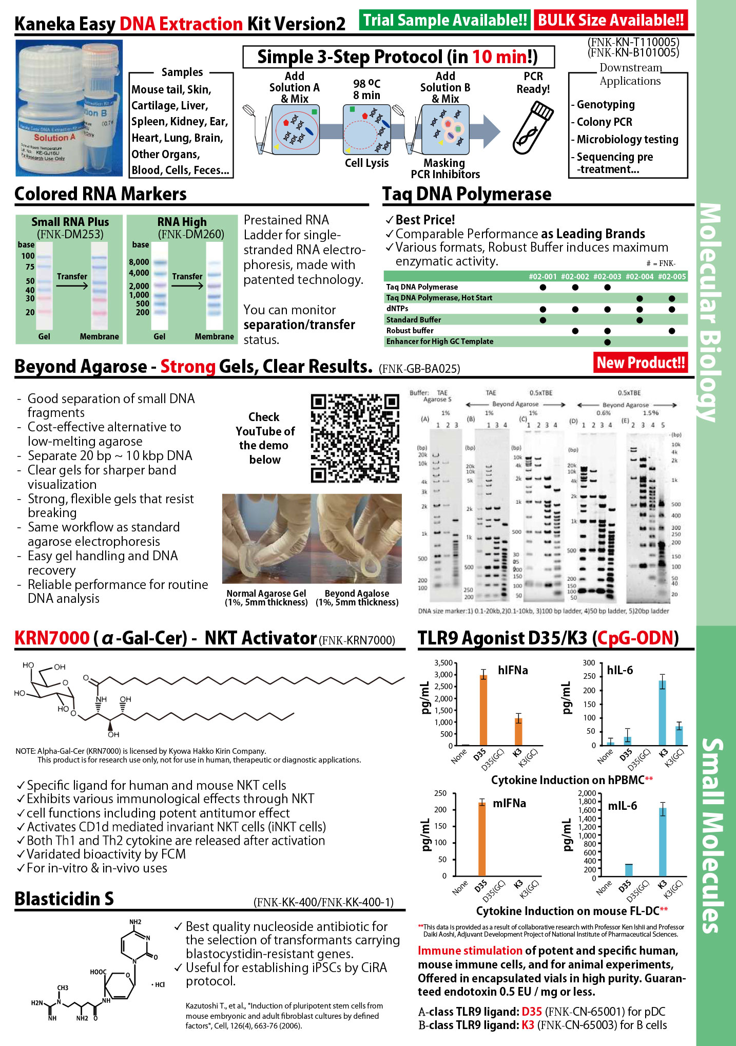 AACR 2026 flyer page 3