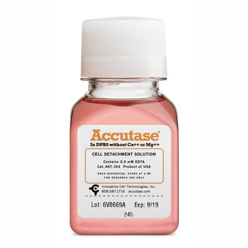 Accutase-1.png