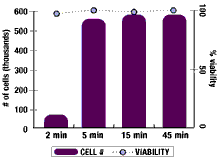 Accutase-F1.png