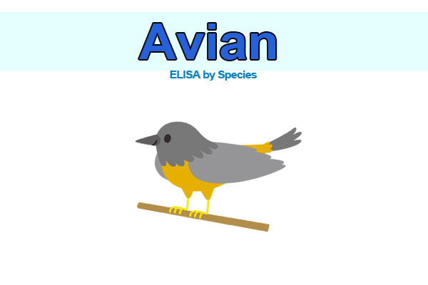 Avian ELISA kits