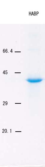 BC40_fig2.jpg