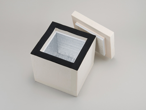 Box13.png