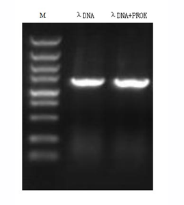 CSB-AP361972TIQ_Fig3