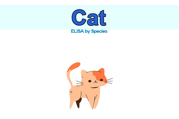 Cat ELISA kits