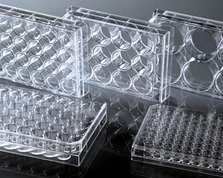 Cell-Culture-Plates-w320x256_Diagnocine