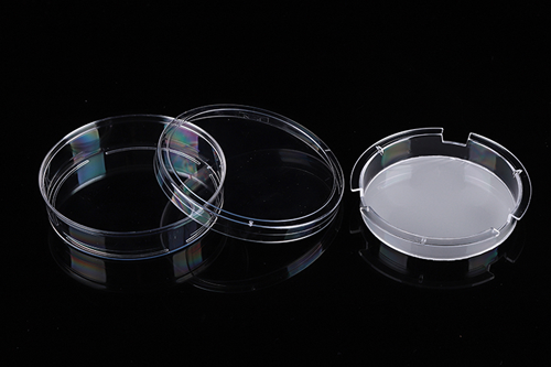 Cell_insert_PC_100mm.png