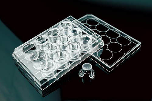 Cell_insert_PC_12well.png