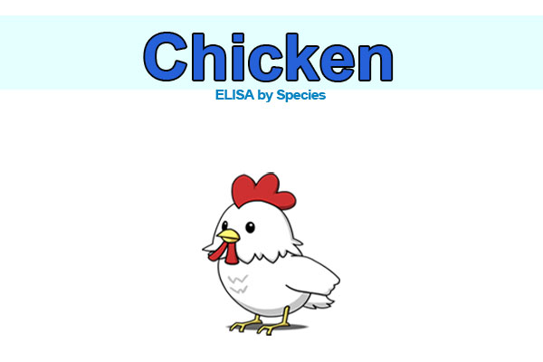 Chicken ELISA kits