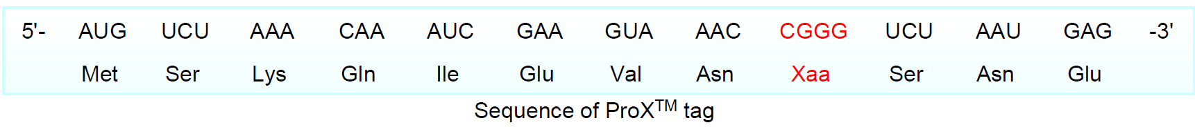 CloverDirect-F9.png