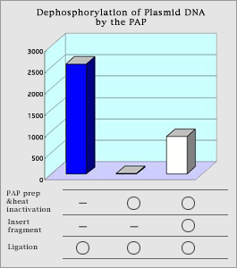 DE110_fig1.gif