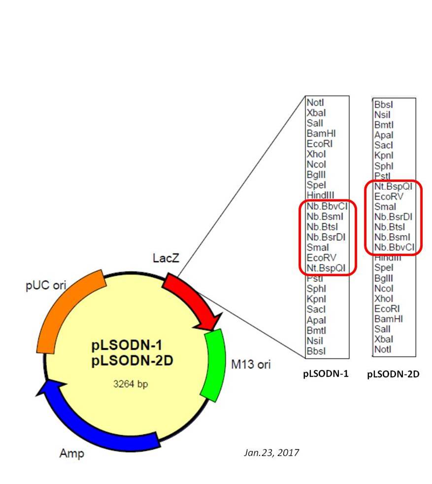 DS610_fig1.jpg