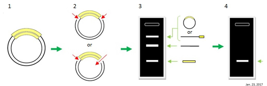 DS610_fig3.jpg