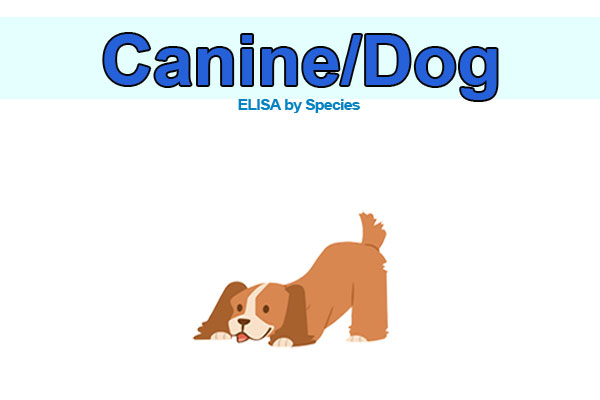 Canine (dog) ELISA kits