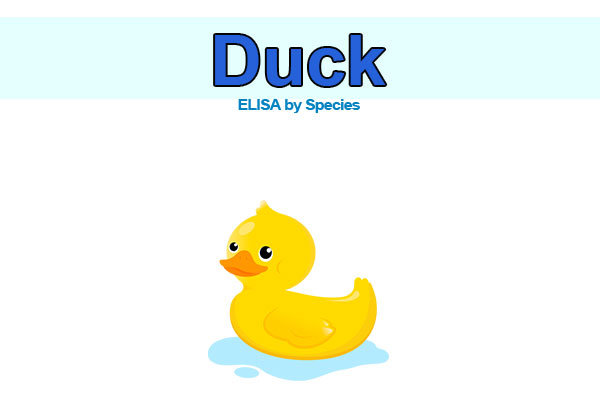 Duck ELISA kits