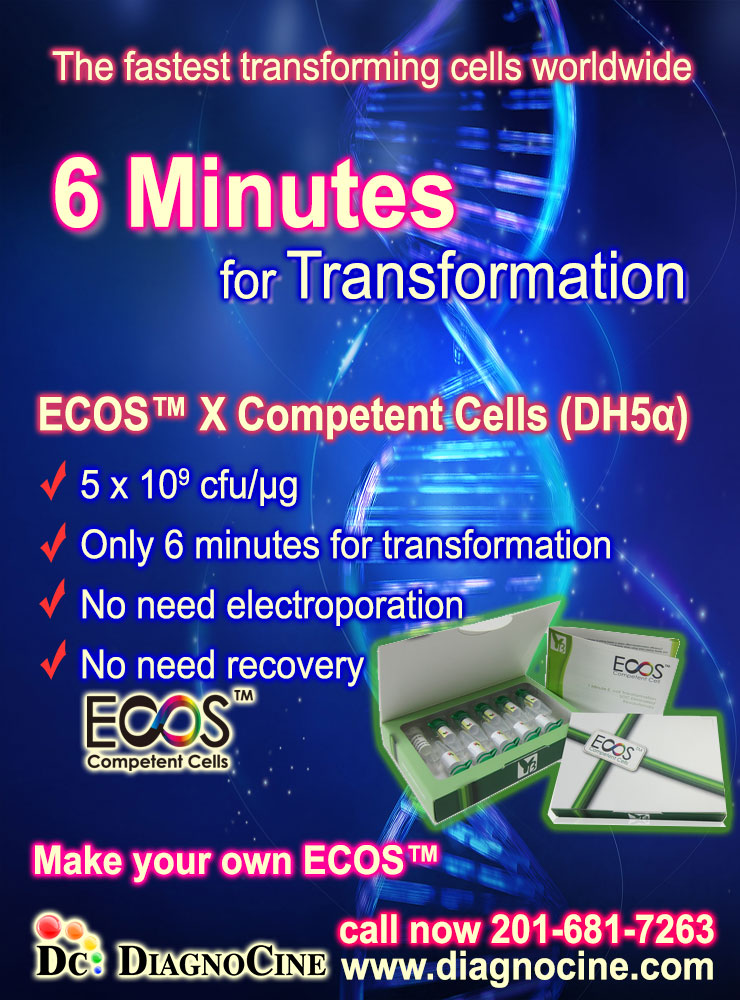 ECOS 6Minutes poster w740x1000 byDiagnocine