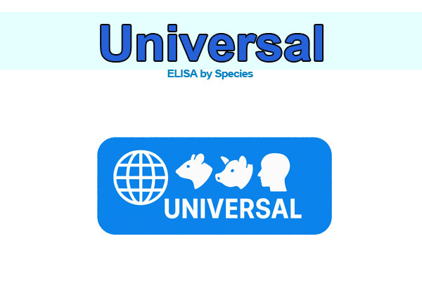 Universal ELISA kits for all brands and species
