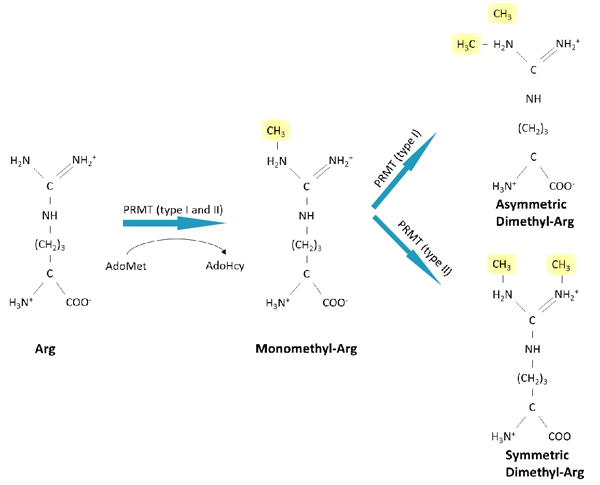 FDV-0007_fig31.png