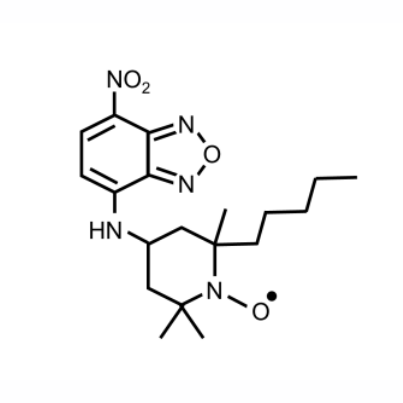 FDV-0042.png