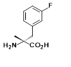 FN-JJICA