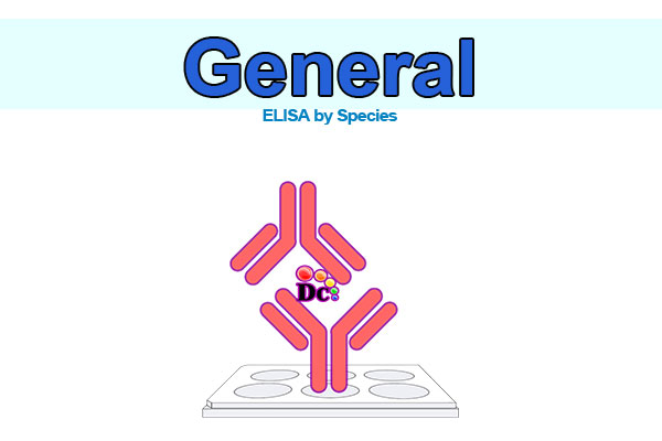 General ELISA kits