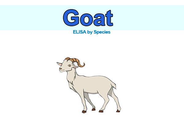 Goat ELISA kits