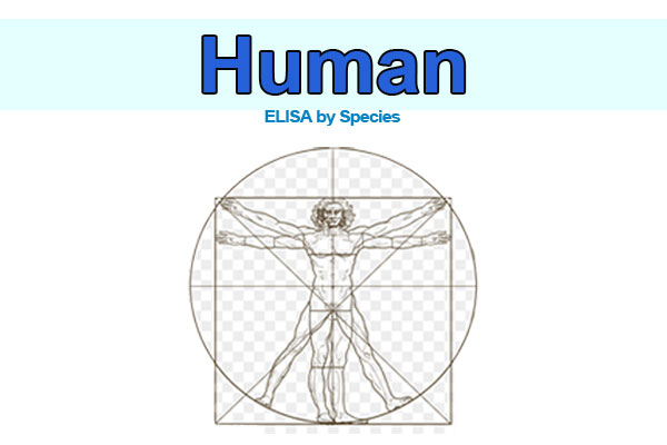 Human ELISA kits