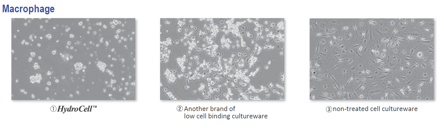 Hydrocell-F2.png