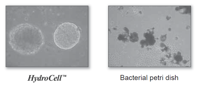 Hydrocell-F4.png
