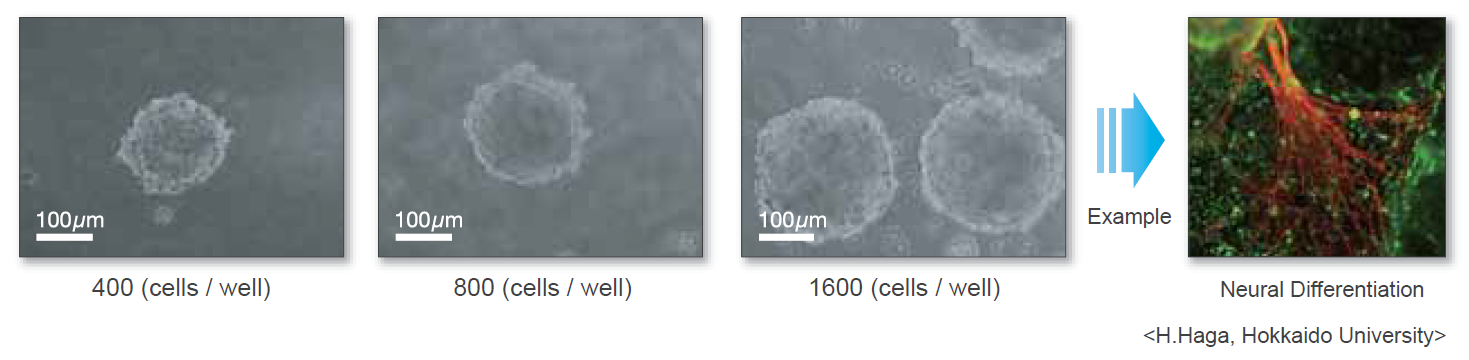 Hydrocell-F5.png
