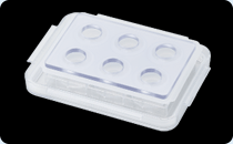 IP-TEC_fig3.jpg