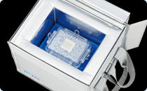 IP-TEC_fig6.jpg