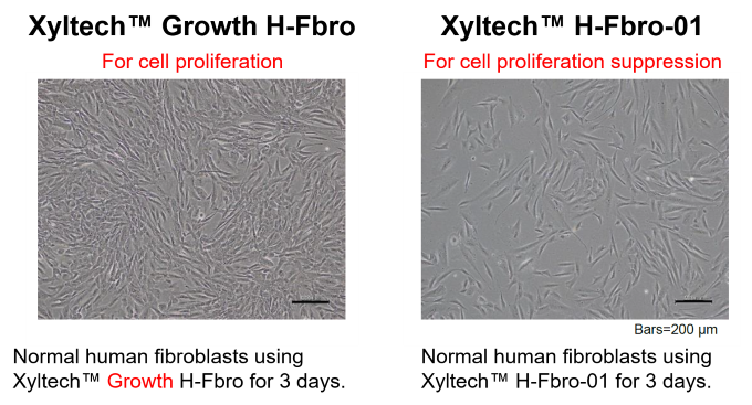 KSK-95005-reference-picture.png