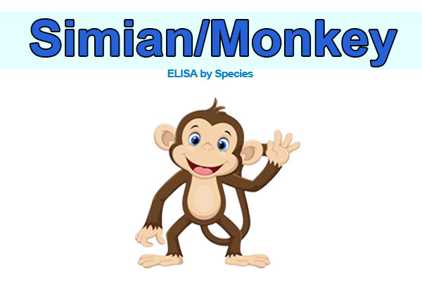 Monkey ELISA kits
