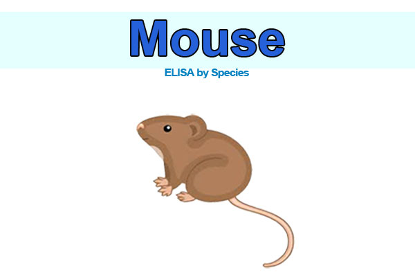 Mouse ELISA kits