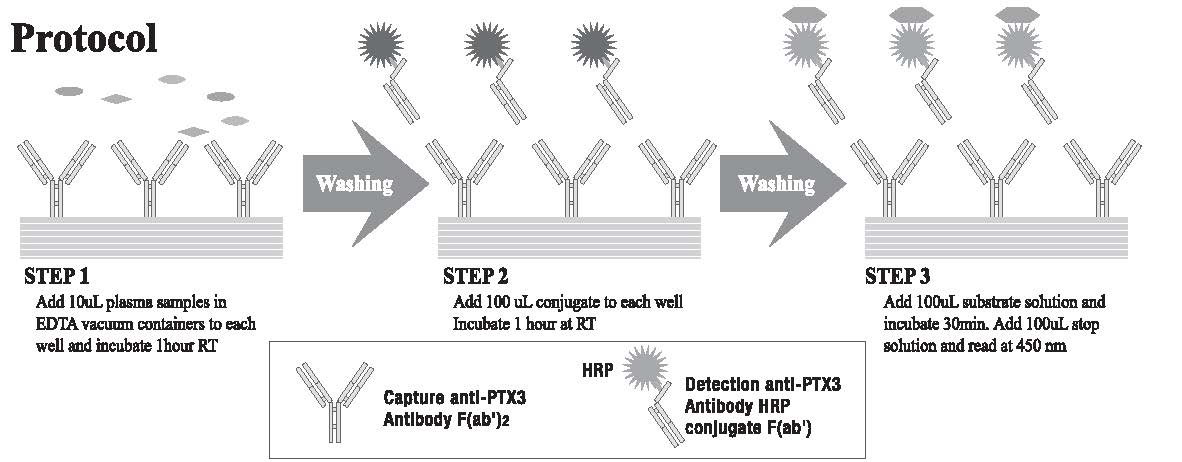 PP-PD03-E0_fig1-1.jpg