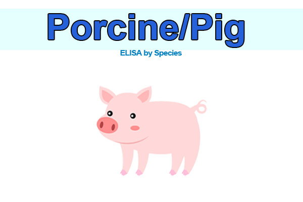 Pig ELISA kits
