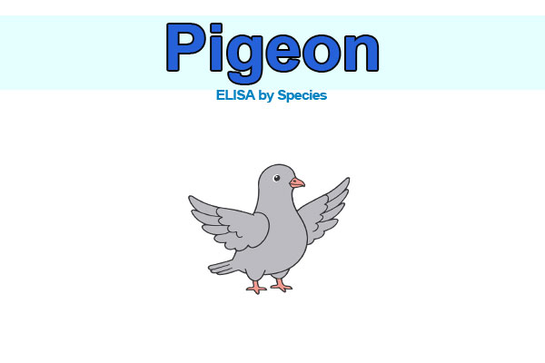 Pigeon ELISA kits