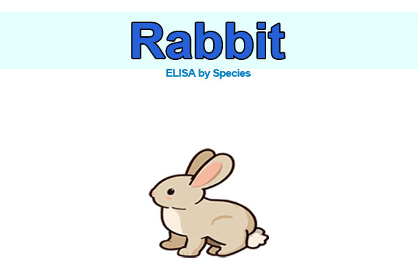 Rabbit ELISA kits