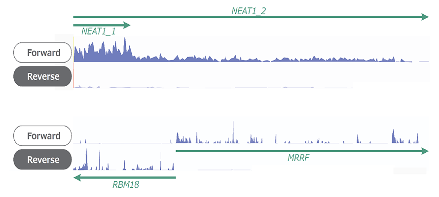 Read coverage using Shin-RamDA-seq-Kit-Data-Diagnocine.png