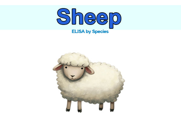 Sheep ELISA kits