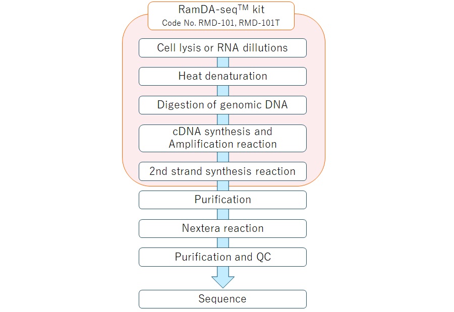 GenNext RamDA-seq Single Cell Kit workflow