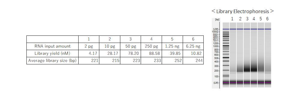 RNA-seq analysis from various RNA input amounts (2 pg to 6.25 ng)