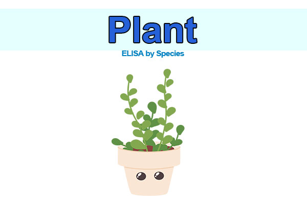 Plant ELISA kits