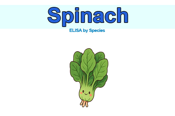 Spinach ELISA kits