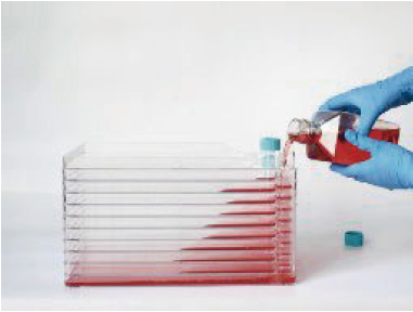 biofactoryFIG1.png
