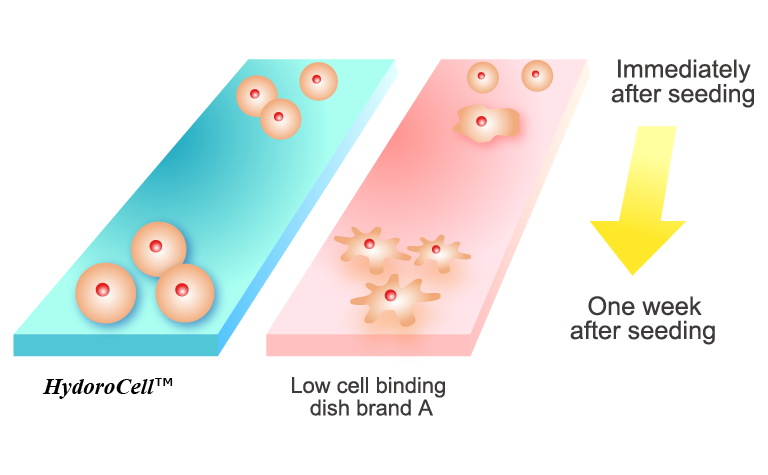 hydrocell_en_01.png