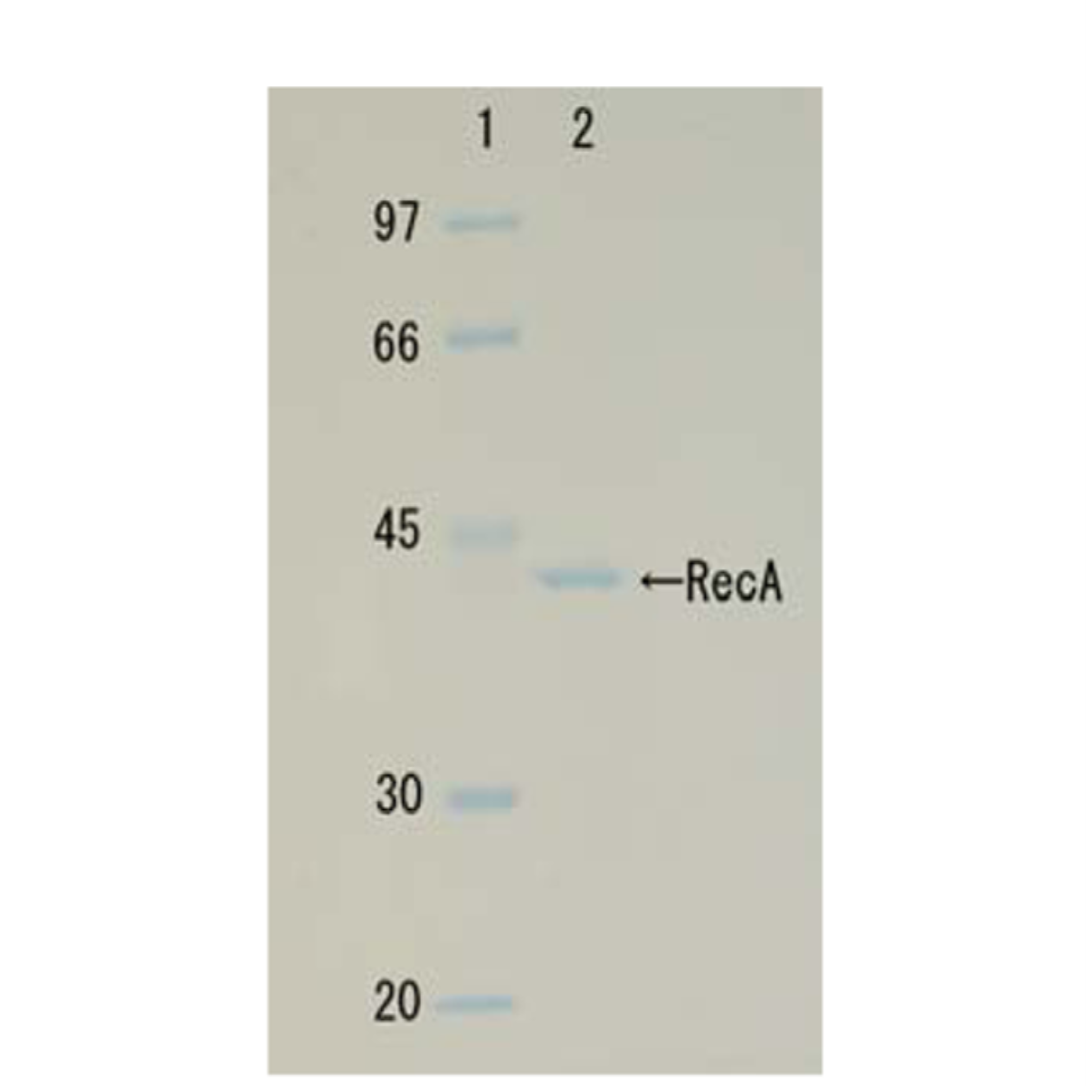 /Content/Upload/Product/01-001_fig1_1200_1.png