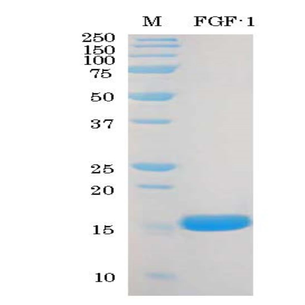 /Content/Upload/Product/03-003_fig1_1200.jpg